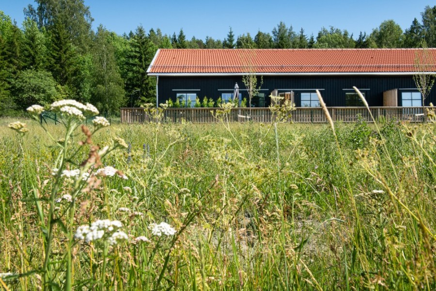 Unika Slalomv&#228;gen